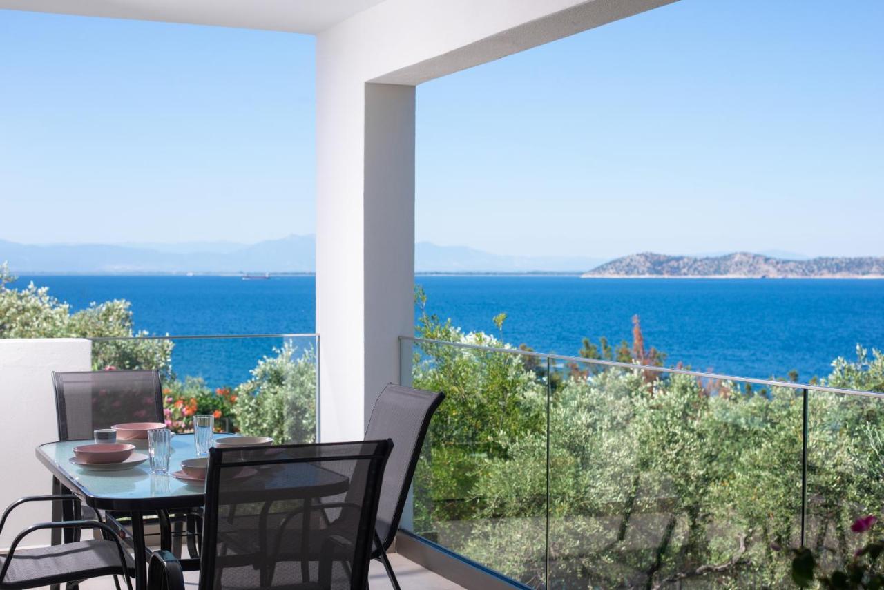 Villa Victoria By La Scala Beach Limenas (Thasos) Exterior foto